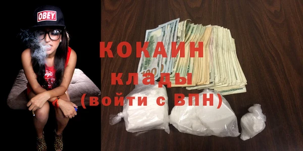 PSILOCYBIN Инта