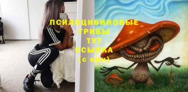круглые Инсар