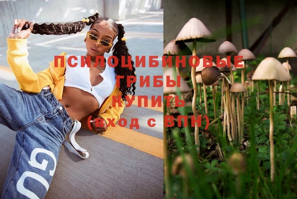 PSILOCYBIN Инта