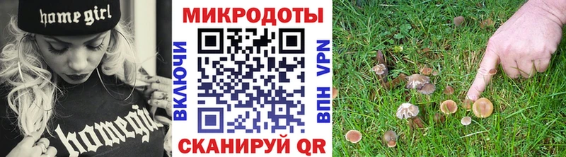 Псилоцибиновые грибы GOLDEN TEACHER  Купить закладки  Брюховецкая 